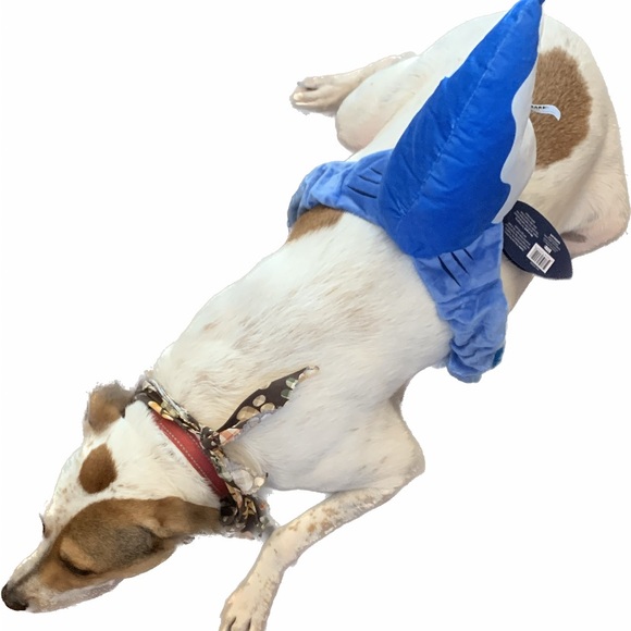 NEW BARK SHARK FIN PET HALLOWEEN 🎃 COSTUME & SQUEAKY TOY AFTER SIZE M-L❣️ - Picture 3 of 10